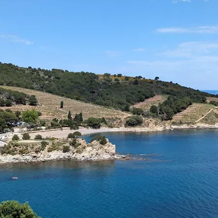 Grand Studio Avec Vue Sur La Mer Et Parking Banyuls-sur-Mer Exterior photo