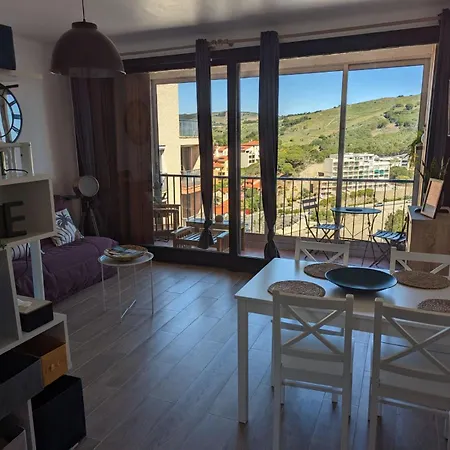 Grand Studio Avec Vue Sur La Mer Et Parking Banyuls-sur-Mer Exterior photo